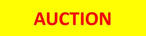 STOCK 6" x 24" MAXMETAL® "AUCTION" SIGN RIDER FOR METAL FRAMES