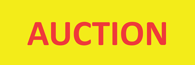 SR-618Y-AUCTION
